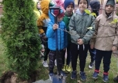 IMG_20241009_100531