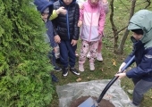 IMG_20241009_100753