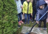 IMG_20241009_100811