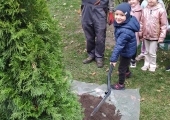 IMG_20241009_100834