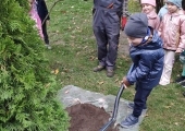 IMG_20241009_100844