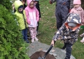 IMG_20241009_101002