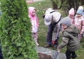IMG_20241009_101019