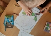 ślimaki (4)