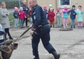 policja (25)