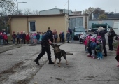 policja (3)