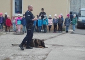 policja (7)